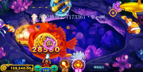 警惕TP电游古怪猴子登入链接背后隐藏的网络赌博与财产安全风险