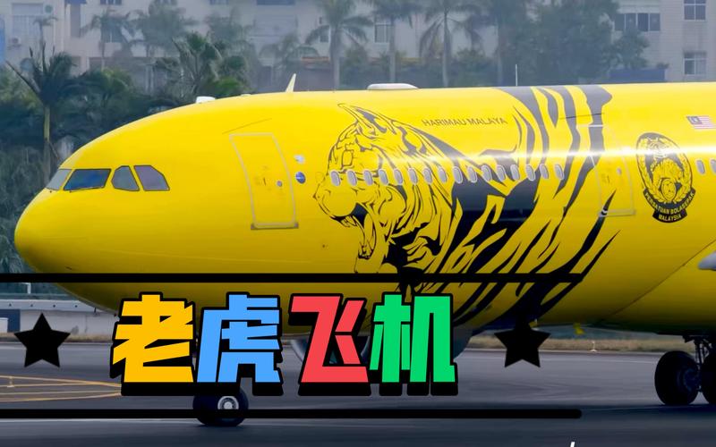 我和PP小小蟾蜍在夏日池塘边度过的难忘时光